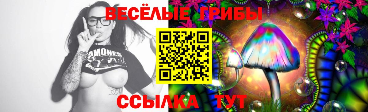 Галлюциногенные грибы MAGIC MUSHROOMS Северск