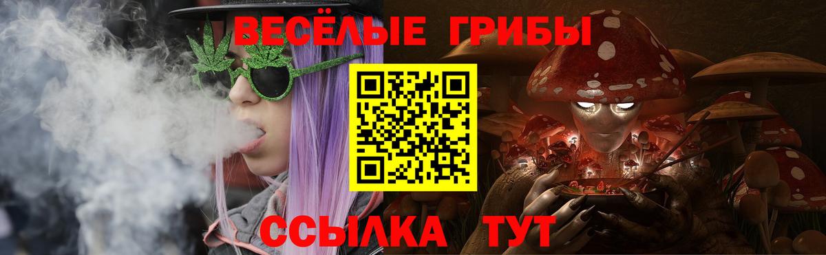 Северск  Псилоцибиновые грибы мицелий  Вход с VPN 