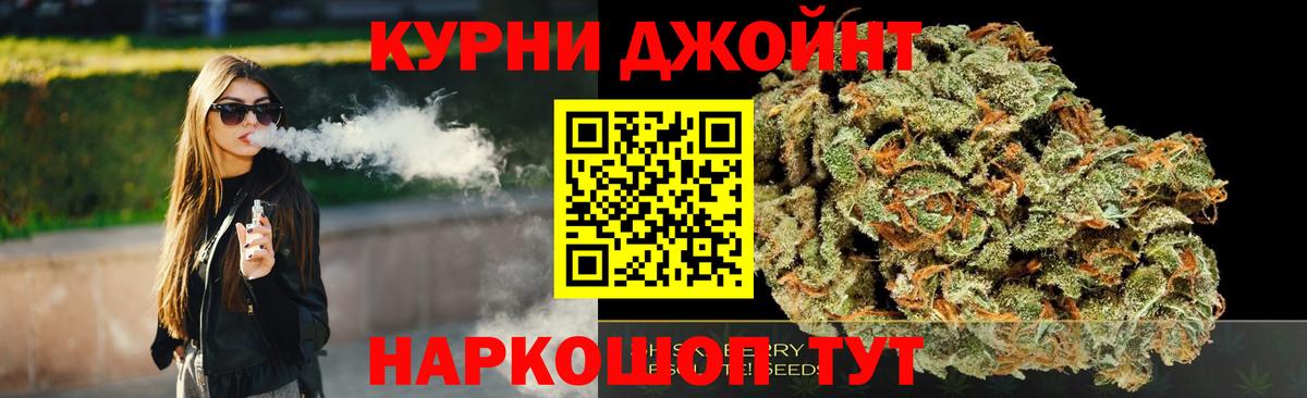 Канабис конопля Северск